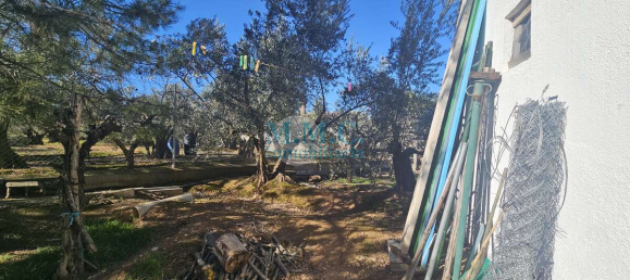 Terreno em Baza, Spain 2127 m² N.º 66047 26