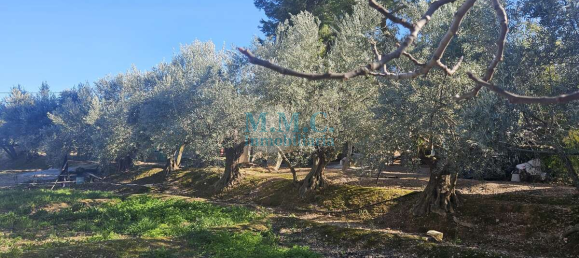 Terreno em Baza, Spain 2127 m² N.º 66047 25