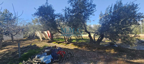 Terreno em Baza, Spain 2127 m² N.º 66047 27