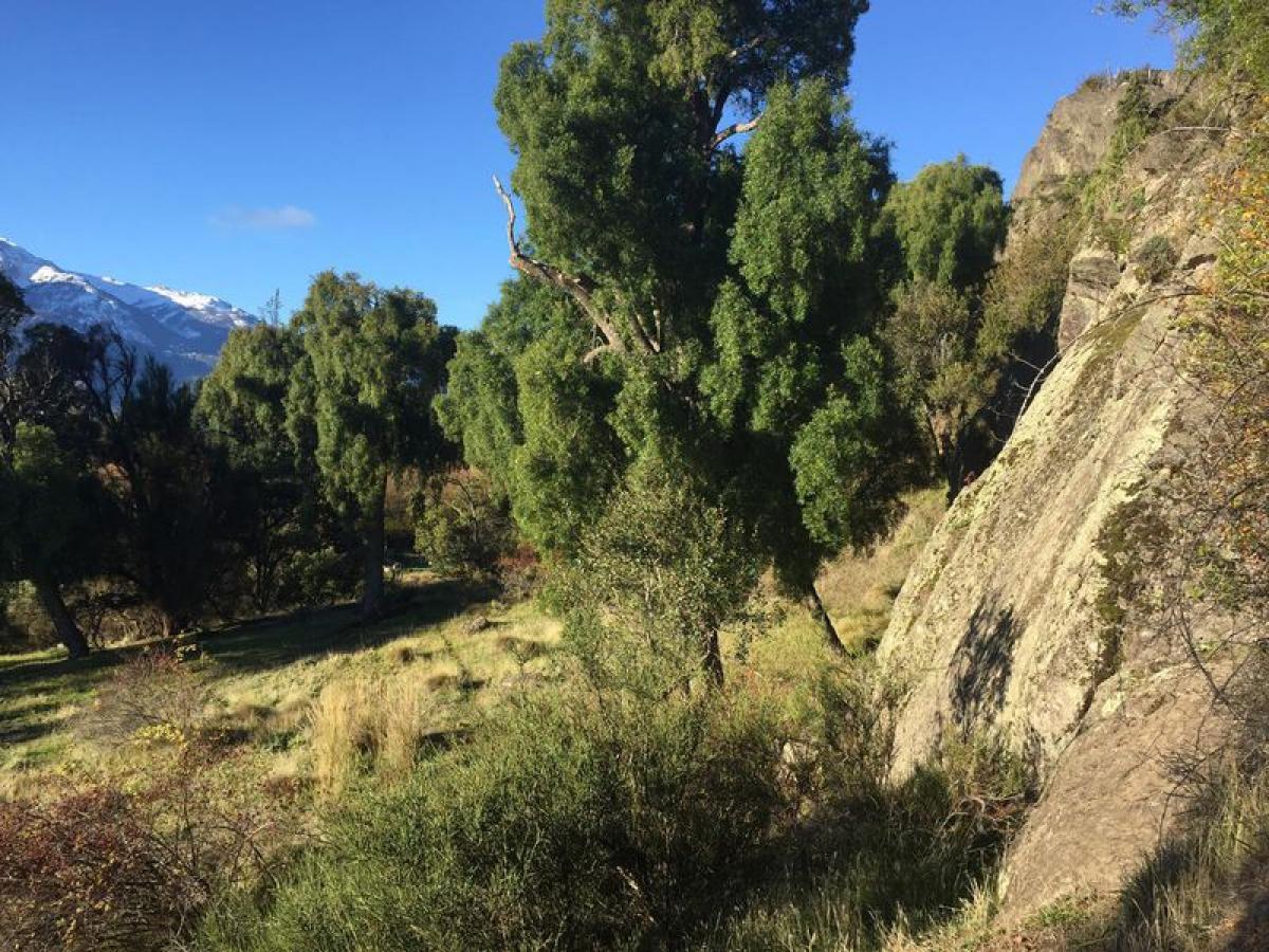  Land in Chubut, Argentina No. 36837