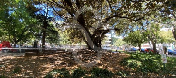 1 Schlafzimmer Wohnung in Lisbon, Portugal, Nr. 155232 17