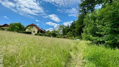 Земельный участок в Вайнитцен, Австрия № 143128