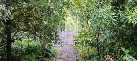 3 bedrooms Villa in Massa, Italy No. 49404 31