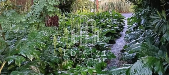 3 bedrooms Villa in Massa, Italy No. 49404 26