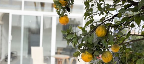 Bungalow de 3 dormitorios en Alicante, Spain No. 176430 19