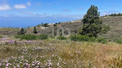  قطعة أرض في Adeje, Spain 11000متر مربع رقم 172541