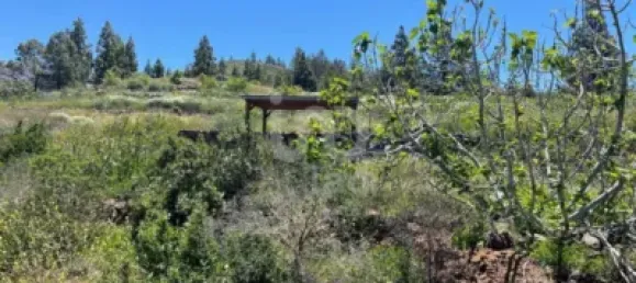  قطعة أرض في Adeje, Spain 11000متر مربع رقم 172541 3