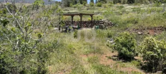  قطعة أرض في Adeje, Spain 11000متر مربع رقم 172541 9