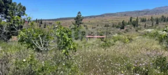  قطعة أرض في Adeje, Spain 11000متر مربع رقم 172541 6