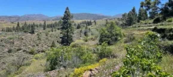  قطعة أرض في Adeje, Spain 11000متر مربع رقم 172541 18