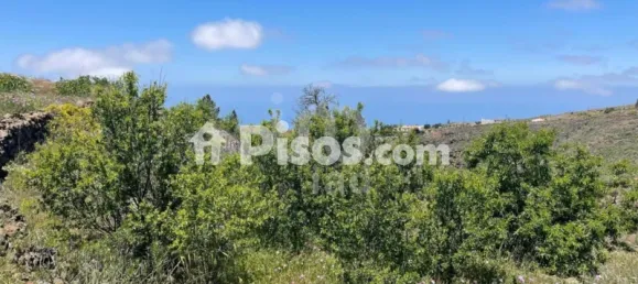  قطعة أرض في Adeje, Spain 11000متر مربع رقم 172541 13