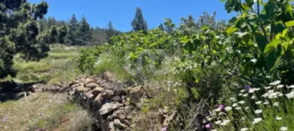  قطعة أرض في Adeje, Spain 11000متر مربع رقم 172541 16