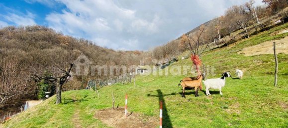 2 bedrooms Villa in Fiamignano, Italy No. 153993 18