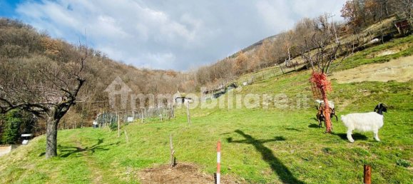 2 bedrooms Villa in Fiamignano, Italy No. 153993 20