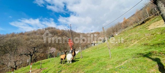 2 bedrooms Villa in Fiamignano, Italy No. 153993 15