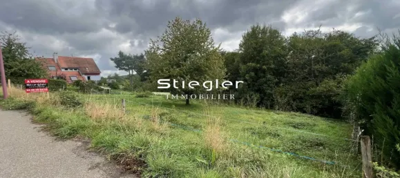  قطعة أرض في Mollkirch, France 2128متر مربع رقم 241271 2