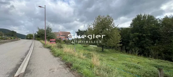  قطعة أرض في Mollkirch, France 2128متر مربع رقم 241271 3