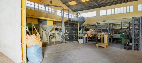 911m² Commercial property in Lourosa, Portugal No. 81495 9