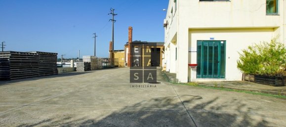 911m² Commercial property in Lourosa, Portugal No. 81495 4