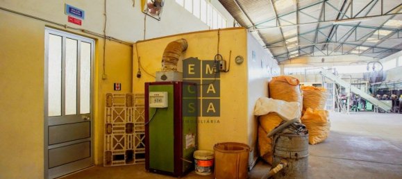 911m² Commercial property in Lourosa, Portugal No. 81495 35