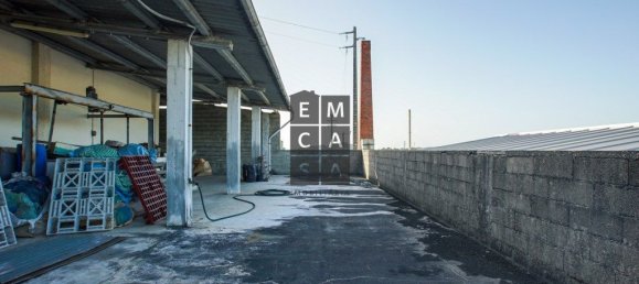 911m² Commercial property in Lourosa, Portugal No. 81495 15