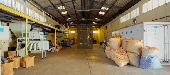 911m² Commercial property in Lourosa, Portugal No. 81495 12