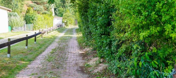 Дом с 4 спальнями в Остерхольц, Германия № 278104 15