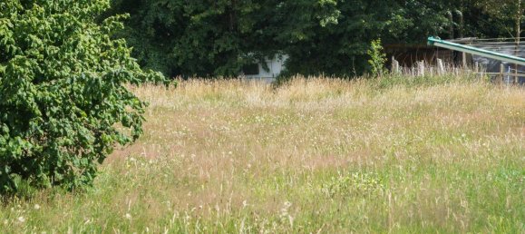 Дом с 4 спальнями в Остерхольц, Германия № 278104 12