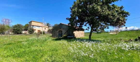 Studio in Zagarolo, Italy, Nr. 8714 14