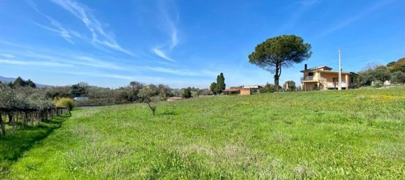 Studio in Zagarolo, Italy, Nr. 8714 7