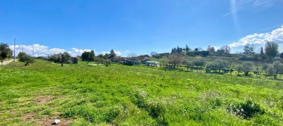 Studio in Zagarolo, Italy, Nr. 8714 27