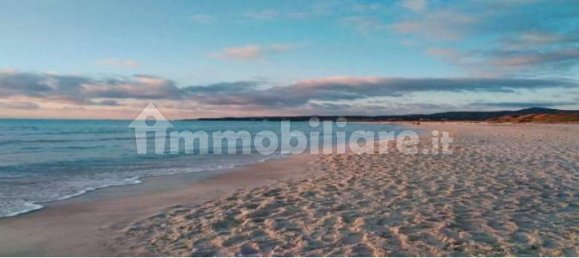 3 bedrooms Apartment in Rosignano Marittimo, Italy No. 220149 5