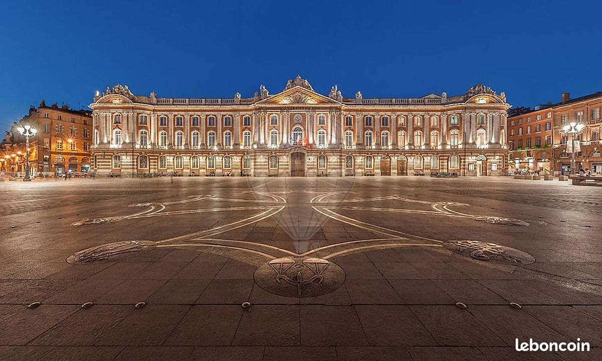 1 bedroom Apartment in Toulouse, France No. 288048