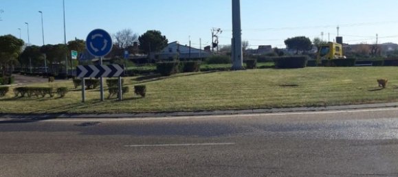 2577m² Land in Zamora, Spain No. 123913 12