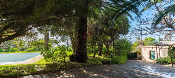 3 bedrooms Villa in Canical, Portugal No. 106590 4