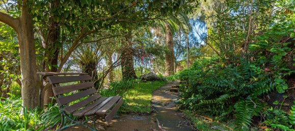 3 bedrooms Villa in Canical, Portugal No. 106590 8