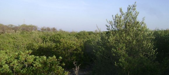 Terreno en Noto, Italy 158000 m² No. 60363 2