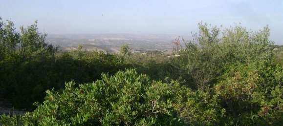 Terreno en Noto, Italy 158000 m² No. 60363 7