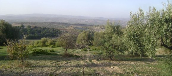 Terreno en Noto, Italy 158000 m² No. 60363 14