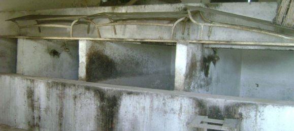 Terreno en Noto, Italy 158000 m² No. 60363 16