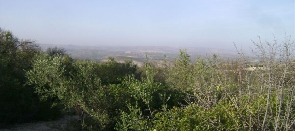 Terreno en Noto, Italy 158000 m² No. 60363 13