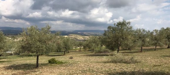 Terreno en Noto, Italy 158000 m² No. 60363 22