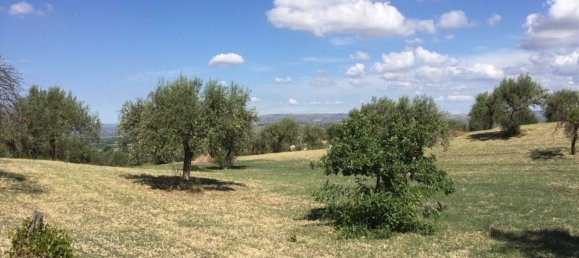 Terreno en Noto, Italy 158000 m² No. 60363 15