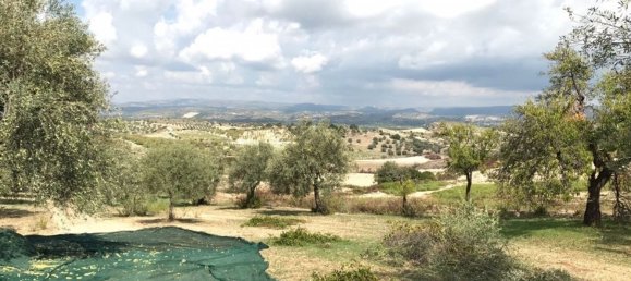 Terreno en Noto, Italy 158000 m² No. 60363 20