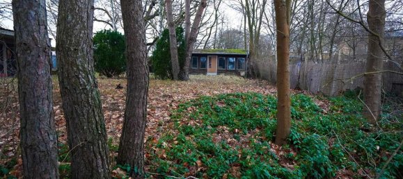 3053m² Land in Oder-Spree, Germany No. 29208 2