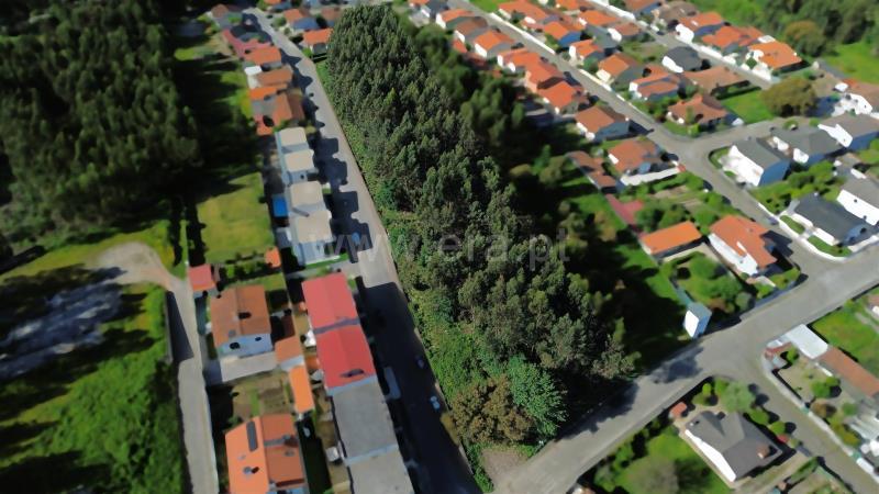 8000m² Land in Aves, Portugal No. 259660