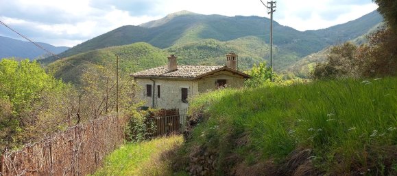 8 rooms House in Scheggino, Italy No. 81023 13