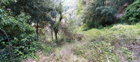 8 rooms House in Scheggino, Italy No. 81023 8