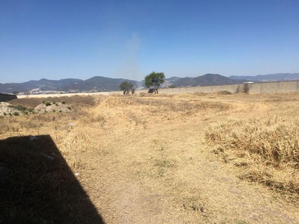  Land in San Mateo Atenco, Mexico No. 205202