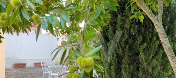 Дом с 5 спальнями в Кашкайш, Португалия № 93362 40